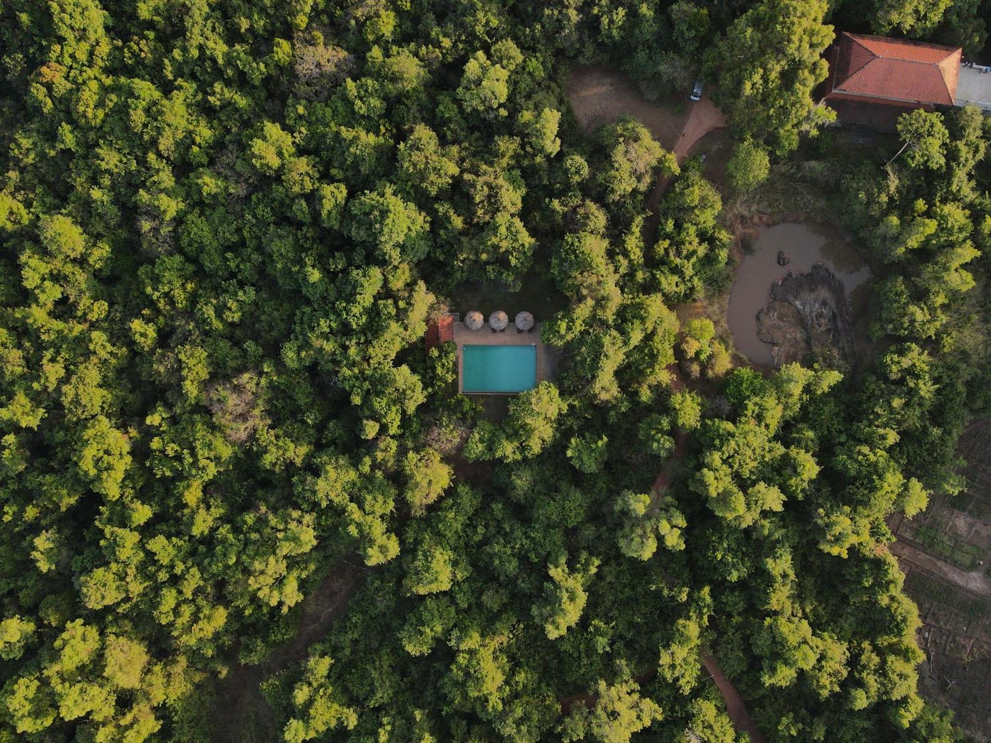 Wild Grass Nature Resort Sigiriya Exteriör bild